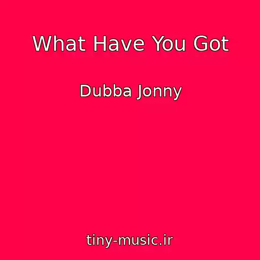 کاور آهنگ What Have You Got از Dubba Jonny