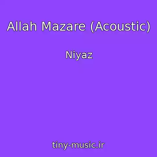 کاور آهنگ Allah Mazare (Acoustic) از Niyaz