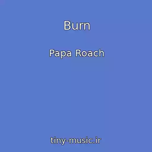 کاور آهنگ Burn از Papa Roach