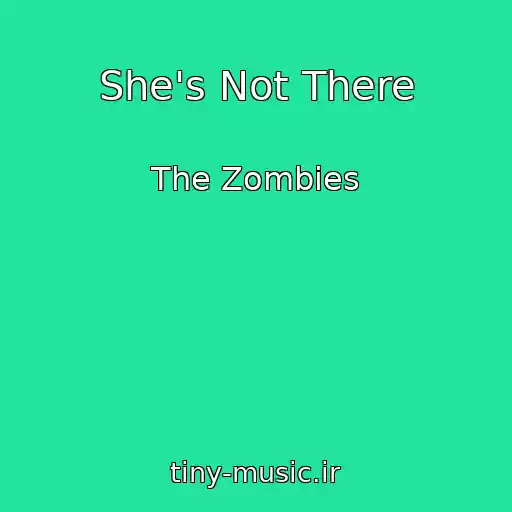 کاور آهنگ She's Not There از The Zombies