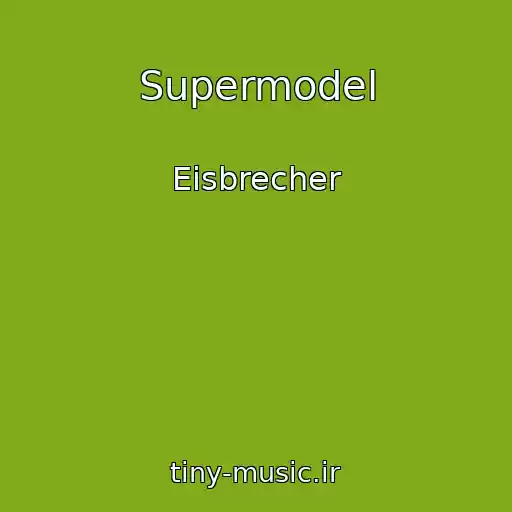 کاور آهنگ Supermodel از Eisbrecher