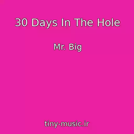 کاور آهنگ 30 Days In The Hole از Mr. Big