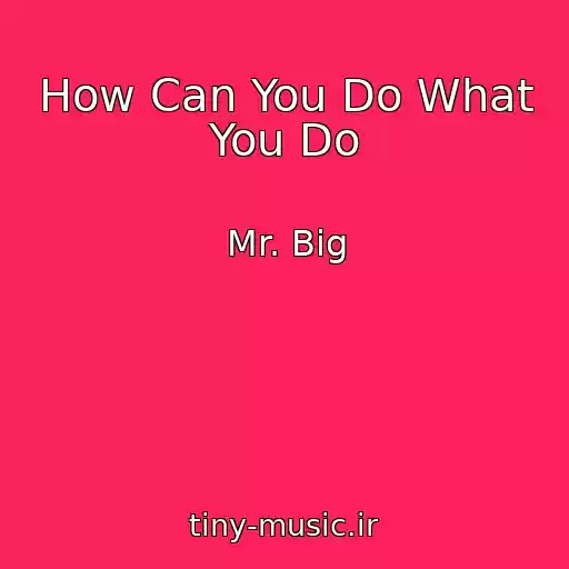 کاور آهنگ How Can You Do What You Do از Mr. Big
