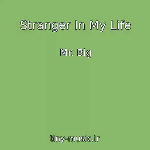 کاور آهنگ Stranger In My Life از Mr. Big