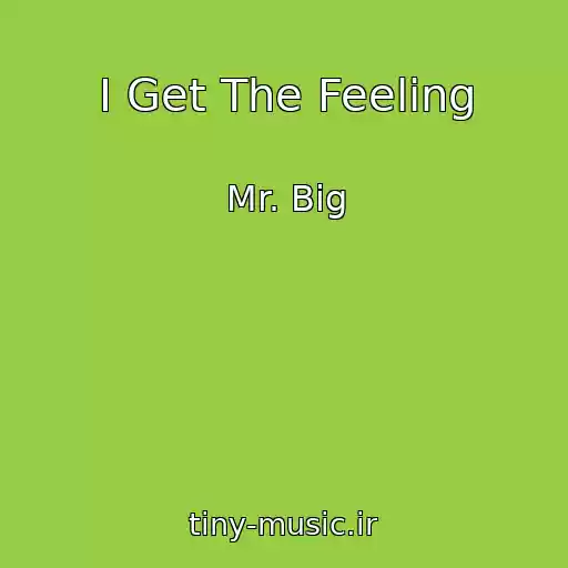 کاور آهنگ I Get The Feeling از Mr. Big
