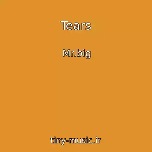 کاور آهنگ Tears از Mr.big