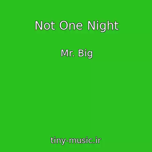 کاور آهنگ Not One Night از Mr. Big