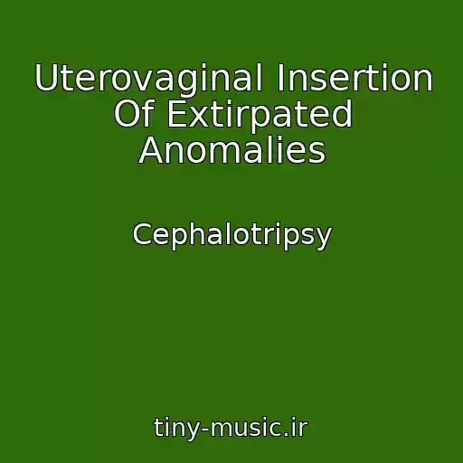 کاور آهنگ Uterovaginal Insertion Of Extirpated Anomalies از Cephalotripsy