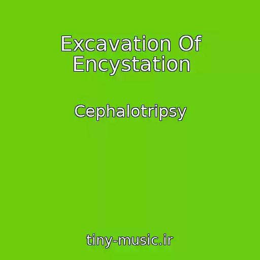 کاور آهنگ Excavation Of Encystation از Cephalotripsy
