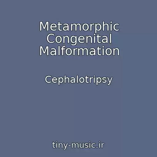 کاور آهنگ Metamorphic Congenital Malformation از Cephalotripsy