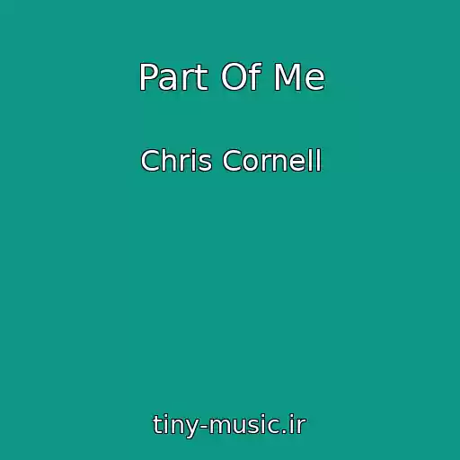 کاور آهنگ Part Of Me از Chris Cornell