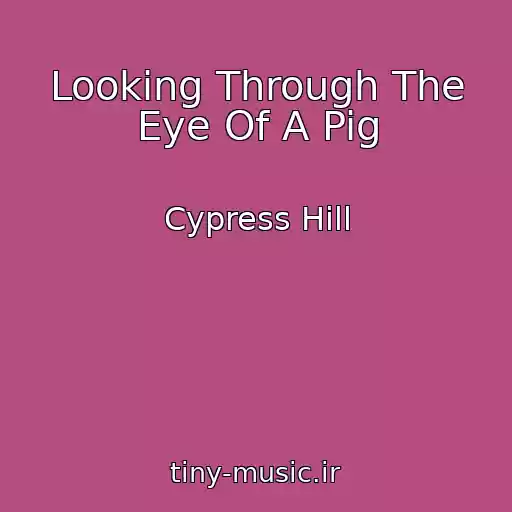 کاور آهنگ Looking Through The Eye Of A Pig از Cypress Hill