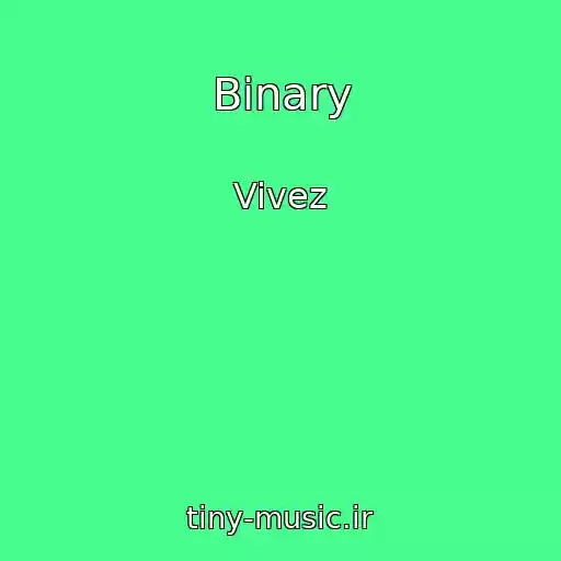 کاور آهنگ Binary از Vivez