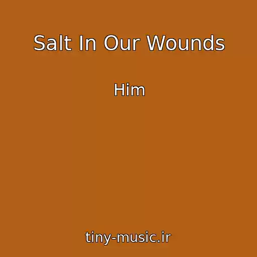 کاور آهنگ Salt In Our Wounds از Him