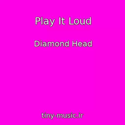 کاور آهنگ Play It Loud از Diamond Head