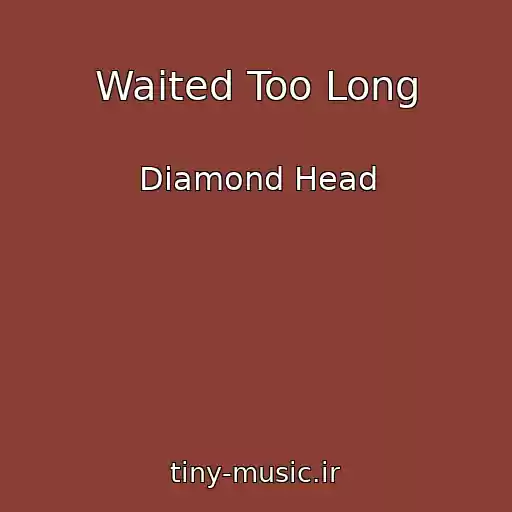 کاور آهنگ Waited Too Long از Diamond Head
