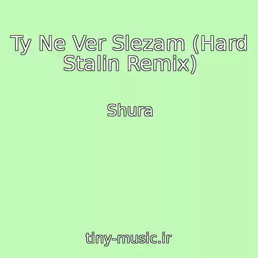 کاور آهنگ Ty Ne Ver Slezam (Hard Stalin Remix) از Shura
