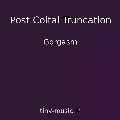 کاور آهنگ Post Coital Truncation از Gorgasm