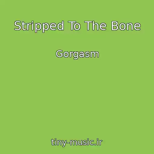 کاور آهنگ Stripped To The Bone از Gorgasm