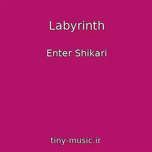 کاور آهنگ Labyrinth از Enter Shikari