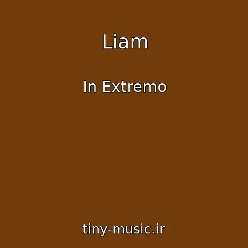 کاور آهنگ Liam از In Extremo