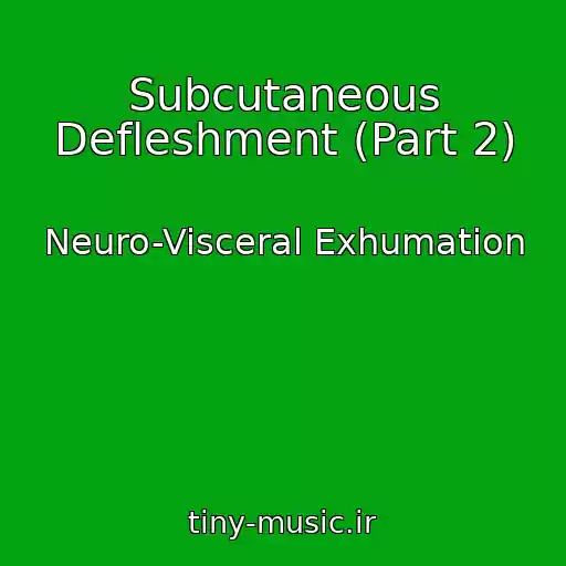 کاور آهنگ Subcutaneous Defleshment (Part 2) از Neuro-Visceral Exhumation