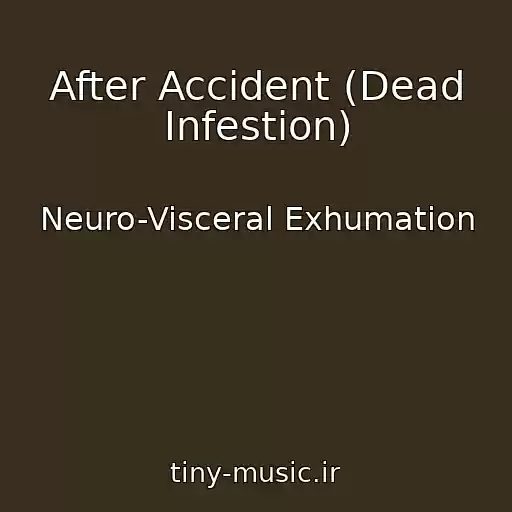 کاور آهنگ After Accident (Dead Infestion) از Neuro-Visceral Exhumation