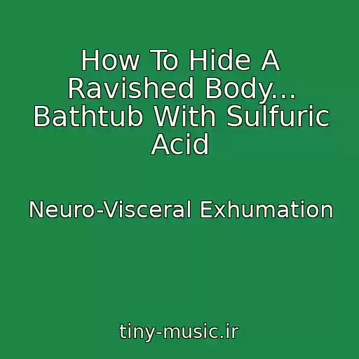 کاور آهنگ How To Hide A Ravished Body... Bathtub With Sulfuric Acid از Neuro-Visceral Exhumation