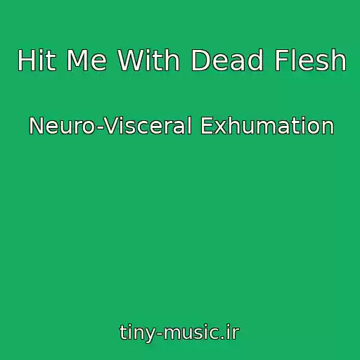کاور آهنگ Hit Me With Dead Flesh از Neuro-Visceral Exhumation