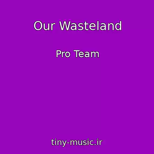 کاور آهنگ Our Wasteland از Pro Team