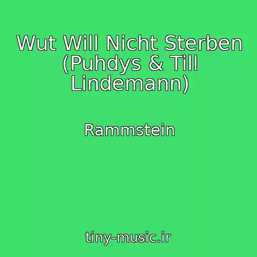 کاور آهنگ Wut Will Nicht Sterben (Puhdys & Till Lindemann) از Rammstein