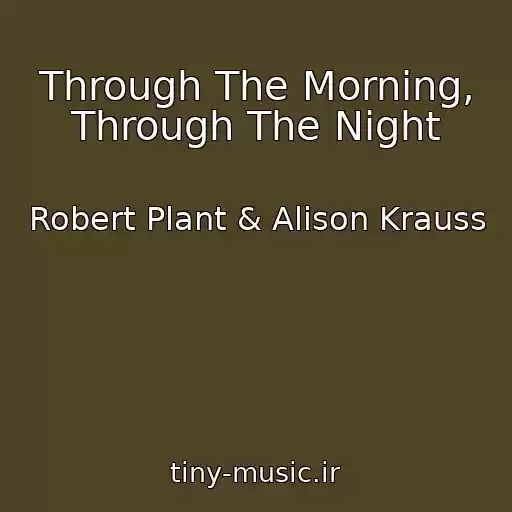 کاور آهنگ Through The Morning, Through The Night از Robert Plant & Alison Krauss