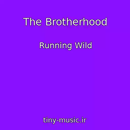 کاور آهنگ The Brotherhood از Running Wild