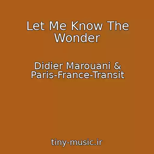 کاور آهنگ Let Me Know The Wonder از Didier Marouani & Paris-France-Transit