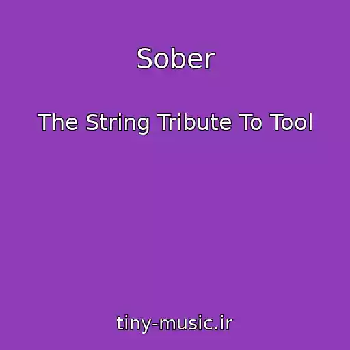 کاور آهنگ Sober از The String Tribute To Tool