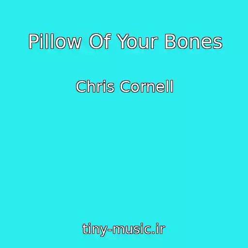 کاور آهنگ Pillow Of Your Bones از Chris Cornell
