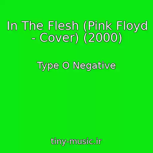 کاور آهنگ In The Flesh (Pink Floyd - Cover) (2000) از Type O Negative