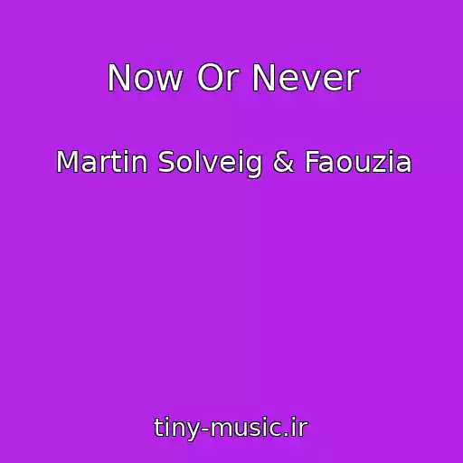 کاور آهنگ Now Or Never از Martin Solveig & Faouzia