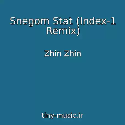 کاور آهنگ Snegom Stat (Index-1 Remix) از Zhin Zhin