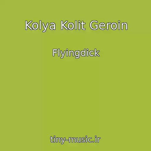 کاور آهنگ Kolya Kolit Geroin از Flyingdick