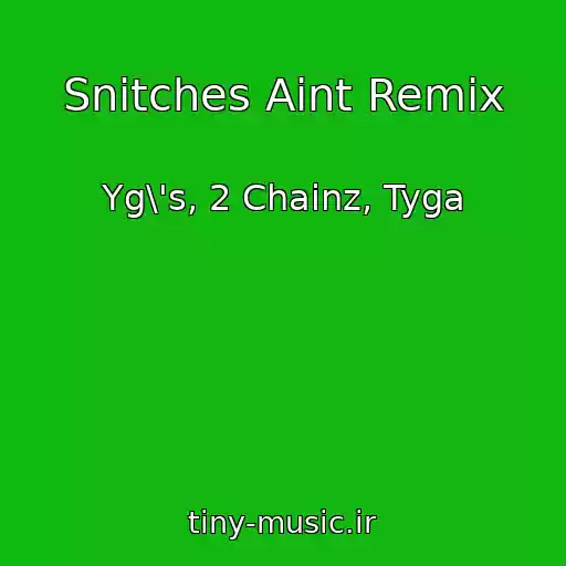کاور آهنگ Snitches Aint Remix از Yg\'s, 2 Chainz, Tyga