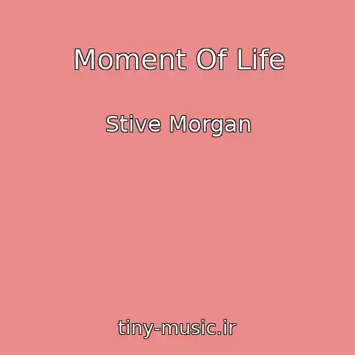 کاور آهنگ Moment Of Life از Stive Morgan