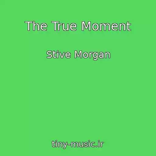 کاور آهنگ The True Moment از Stive Morgan
