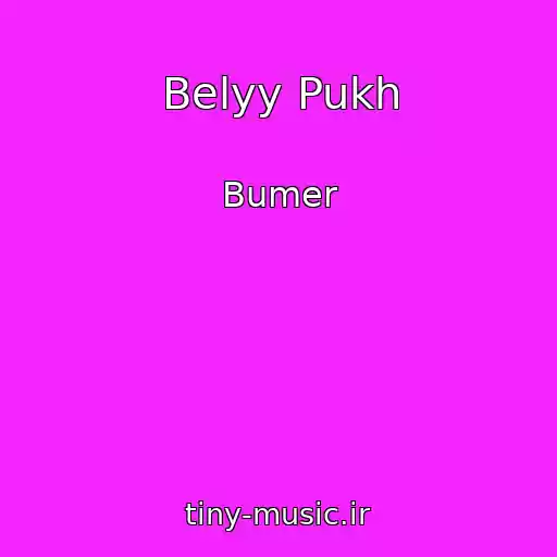 کاور آهنگ Belyy Pukh از Bumer