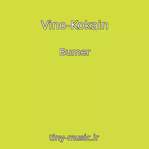 کاور آهنگ Vino-Kokain از Bumer