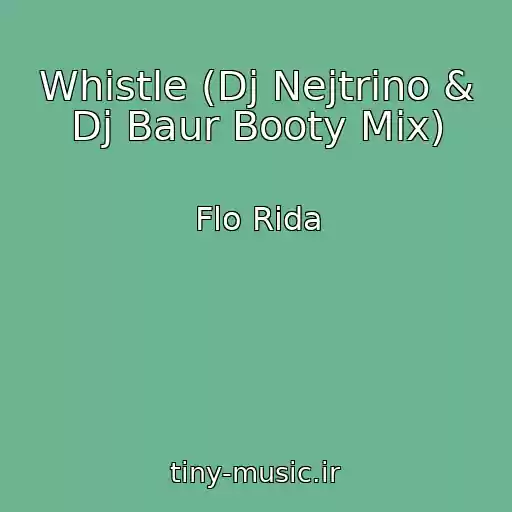 کاور آهنگ Whistle (Dj Nejtrino & Dj Baur Booty Mix) از Flo Rida