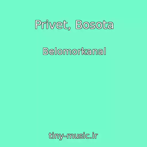 کاور آهنگ Privet, Bosota از Belomorkanal