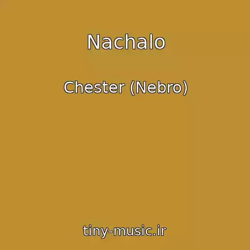 کاور آهنگ Nachalo از Chester (Nebro)