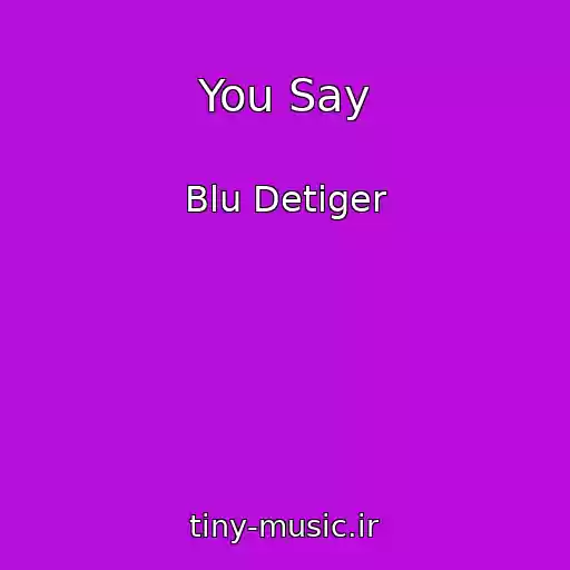 کاور آهنگ You Say از Blu Detiger