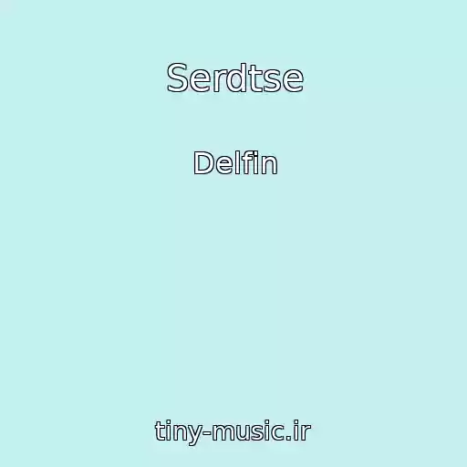 کاور آهنگ Serdtse از Delfin